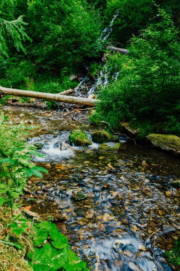 Apartman U Vlka - Hubertus, Karlova Studánka Buitenkant foto