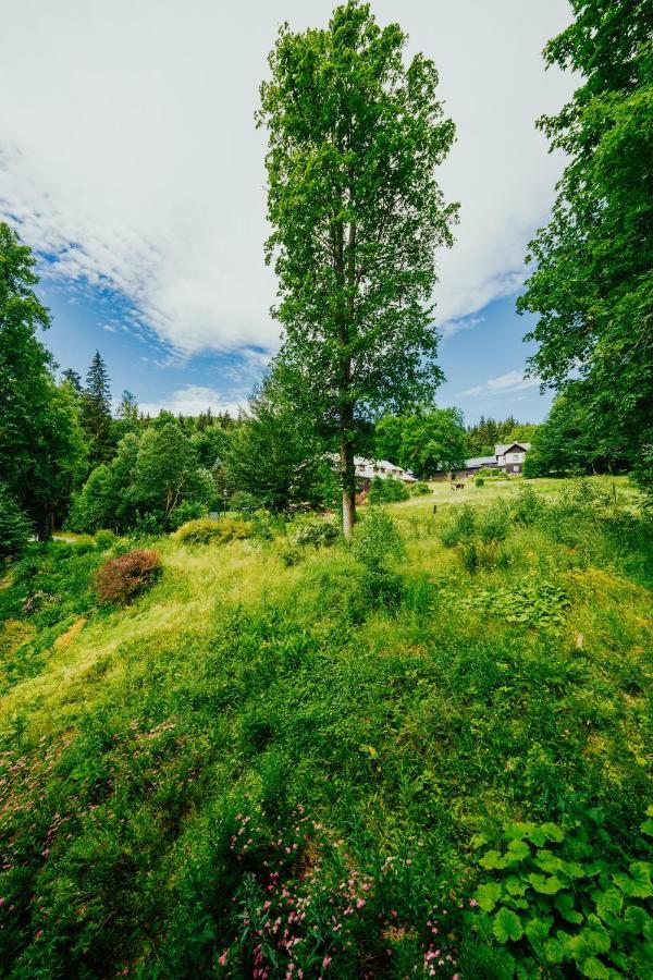 Apartman U Vlka - Hubertus, Karlova Studánka Buitenkant foto